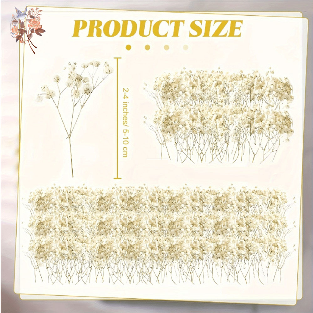Mini Dried Gypsophila Flower D - đánh giá và giá Candle Making Uk